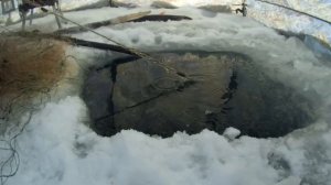 Подлёдная рыбалка на сети,первая проверка.