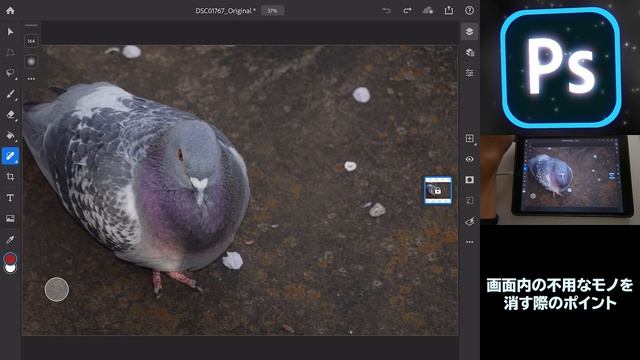 iPad版Photoshop「画面内の不用なモノを 消す際のポイント」 смотреть онлайн