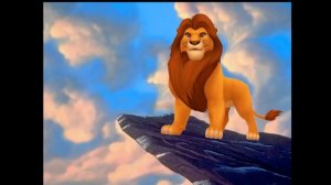 Лютые приколы. МОЙ КОТ ПРЕВРАТИЛСЯ В ВАМПИРА! СМЕШНЫЕ ЖИВОТНЫЕ! - Domi Show