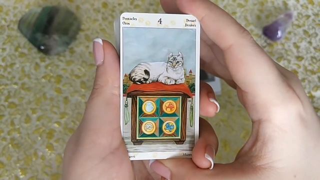 Таро Языческих Кошек. Обзор+Бонус. Совет Карт. смотреть онлайн