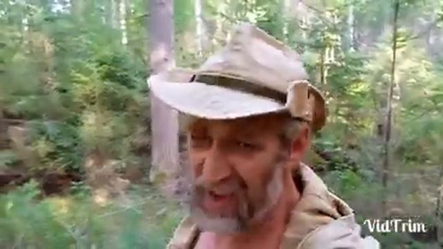 Последнии деньки. смотреть онлайн