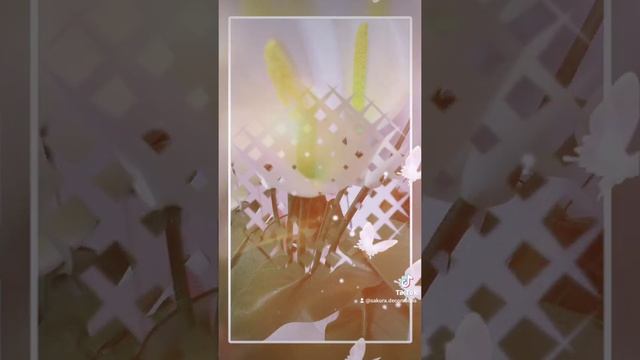 Каллы из изолона смотреть онлайн