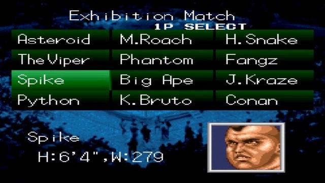 Natsume Championship Wrestling (SNES) All Finishers смотреть онлайн