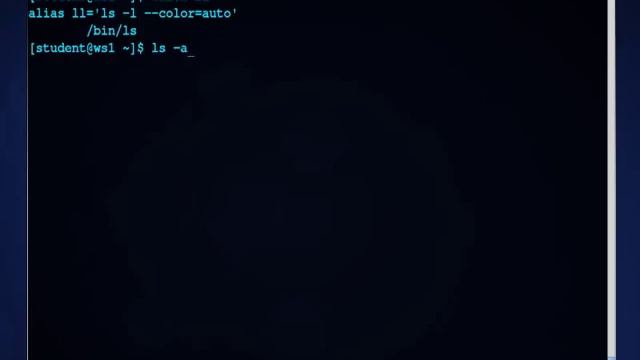 Viewing Directory Content with the ls command смотреть онлайн