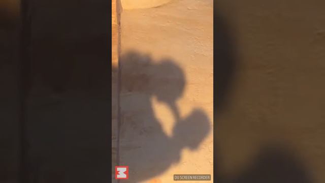 Что делать в экстренных ситуациях смотреть онлайн