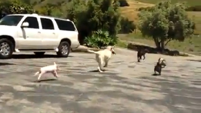 Кто-то тут лишний... смотреть онлайн