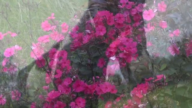 ВИЛЬНЮС☀ЛИТВА / 4 дня в городе / Полный Обзор Vilnius, Lithuania, Lietuva