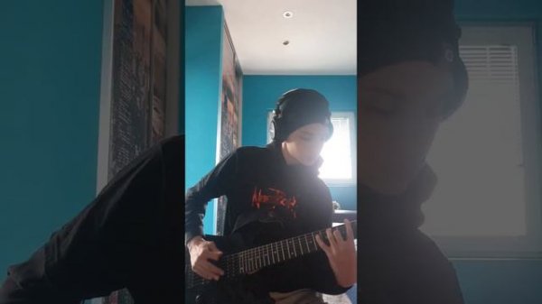 NervePitch-Stitches (Guitar cover)