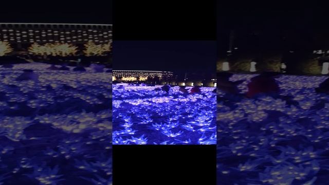 Один из самый красивых парков смотреть онлайн