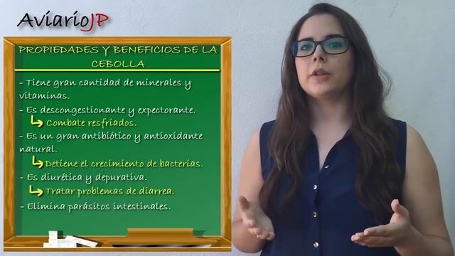 CEBOLLA para CANARIOS y PAJAROS EXOTICOS ? REMEDIOS NATURALES para la CRIA de CANARIOS y JILGUEROS смотреть онлайн