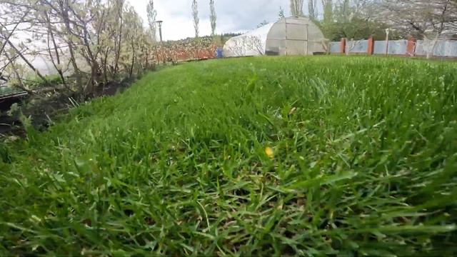 Аккумуляторная газонокосилка Greenworks GD40LM46SP: подробный обзор и тест смотреть онлайн