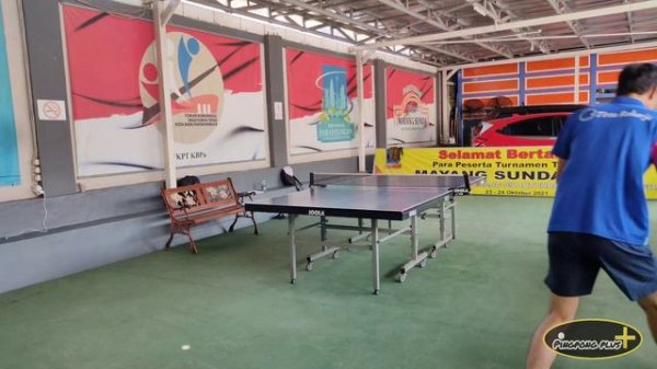 Sauer & Troger ZARGUS | Short Pimples Table Tennis Rubber