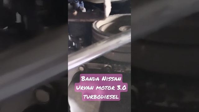 Tensor de banda de accesorios Nissan Urvan motor 3.0 turbo смотреть онлайн