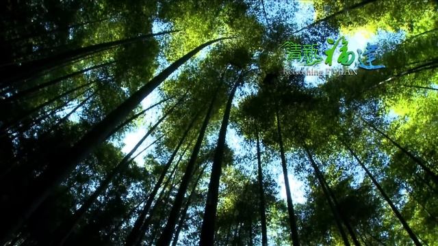 Refreshing Fujian-Travel in Fujian,China смотреть онлайн