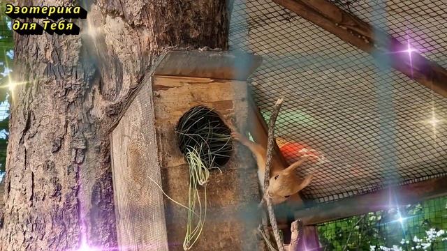 27 мая народный праздник день Сидора Огуречника. Что нельзя делать. Народные традиции, суеверия смотреть онлайн