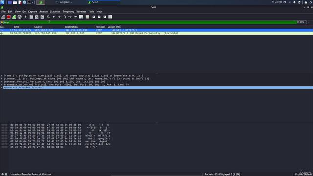 4.8. Sets a filter to display all http and dns protocols смотреть онлайн