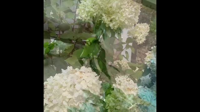 How To Create an Easy Limelight Floral Centerpiece смотреть онлайн