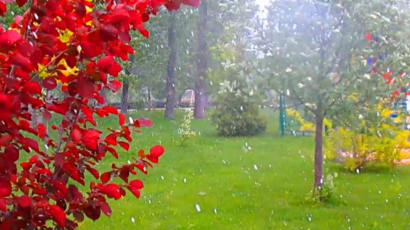 Внезапно пошёл снег! В мае смотреть онлайн