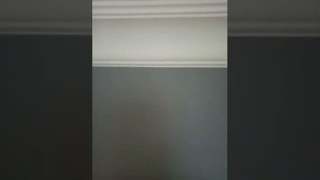 Идеальный стык двух цветов(потолочный плинтус и стена) смотреть онлайн
