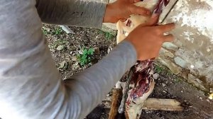 Охота на сурка. Разделка и снятие жира.