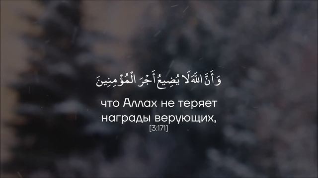 Сура 3 «Алю Имран» (Семейство Имрана) | Аяты [169 - 173] | @TareqMohammadOfficial смотреть онлайн