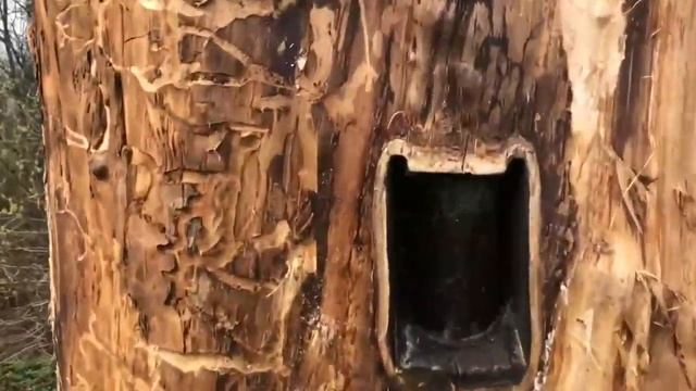КОЛОДНОЕ ПЧЕЛОВОДСТВО отнимает совсем мало времени! смотреть онлайн