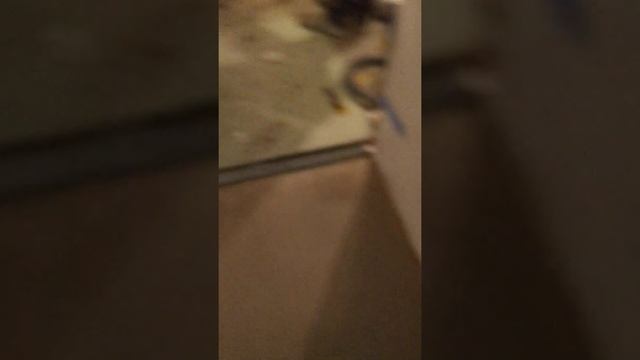 Результат заливки наливного пола SikaFloor 120 Level Standart.