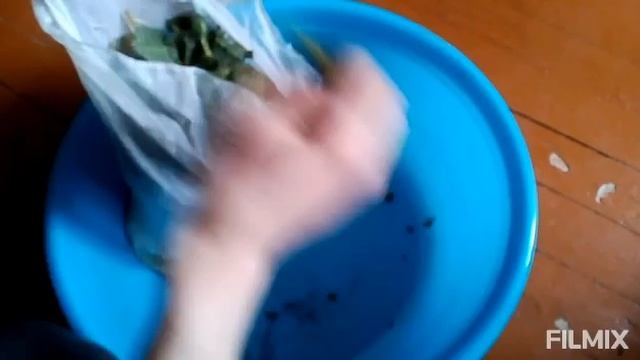 Крапива. смотреть онлайн