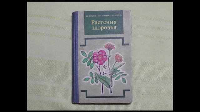 Пчёлки 46 Алтайский мёд смотреть онлайн
