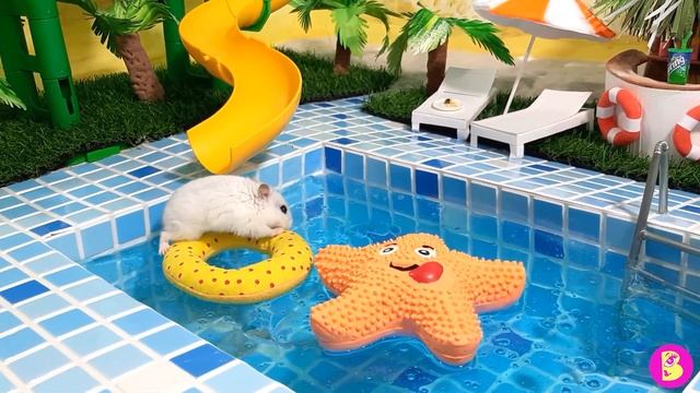 ХОМЯЧКОВЫЙ РЕЛАКС** НЕВОШЕДШИЕ КАДРЫ** МОРЕ СОЛНЦЕ и ХОМЯЧКИ смотреть онлайн