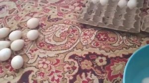 Инкубация индюшиных яиц. Подготовка!