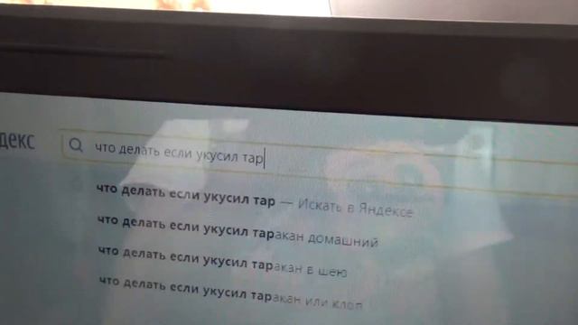 кроче говоря укусил тарантул смотреть онлайн