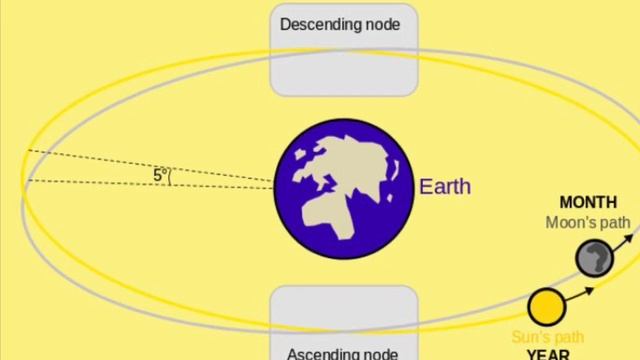 True Node Vs. Mean Node In Astrology | MUST WATCH! смотреть онлайн