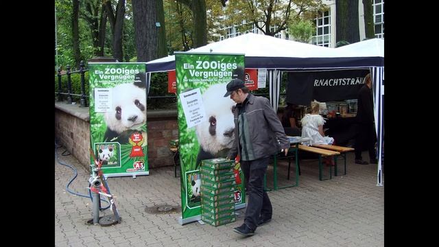 Zooloretto - GeekNights Presents смотреть онлайн