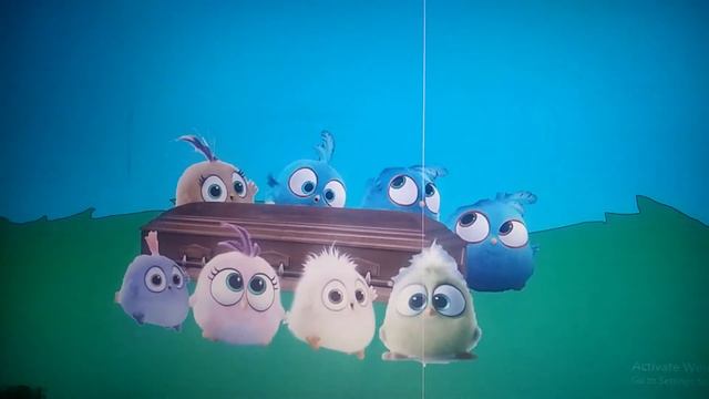 Angry Birds hatchlings coffin dance (remastered/original by Tony Igy and Rovio) смотреть онлайн