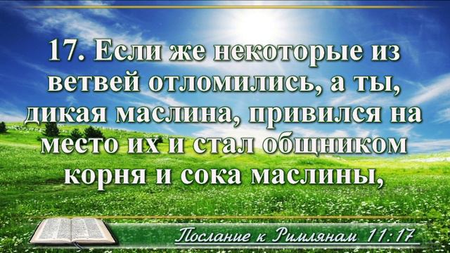 Послание к Римлянам с музыкой глава 11 читаем и слушаем смотреть онлайн