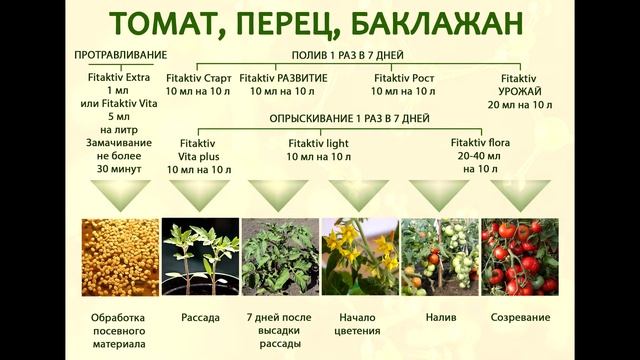 Томат, перец, баклажан / Пасленовые - Схема применения препаратов FITAKTIV смотреть онлайн