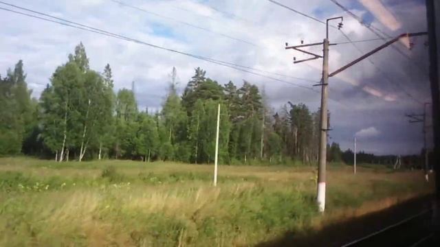 Солнечные леса Волоколамского района и отправление от станции Чисмена смотреть онлайн