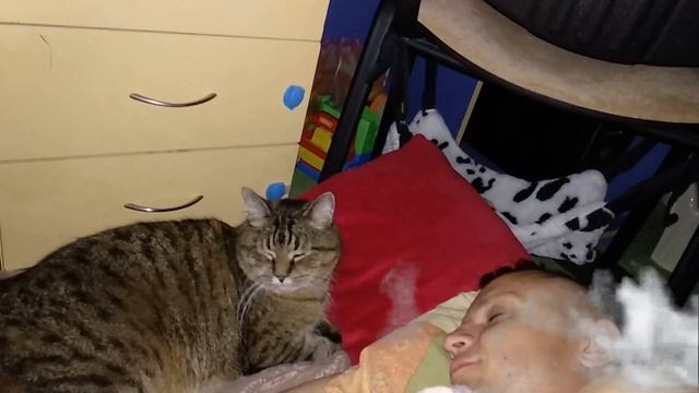 Кот баюн. Кот уложил спать хозяина. смотреть онлайн