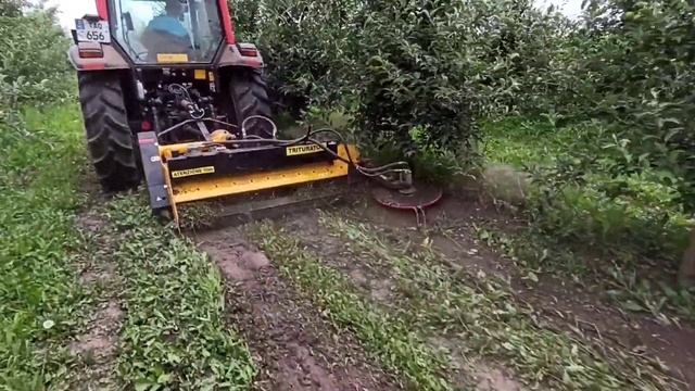ORSI T18 MULCHER ( приствольный измельчитель веток ORSI ) #ORSIGROUP