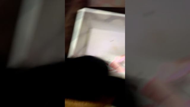 День влюбленных . Басики дарят валентинки смотреть онлайн