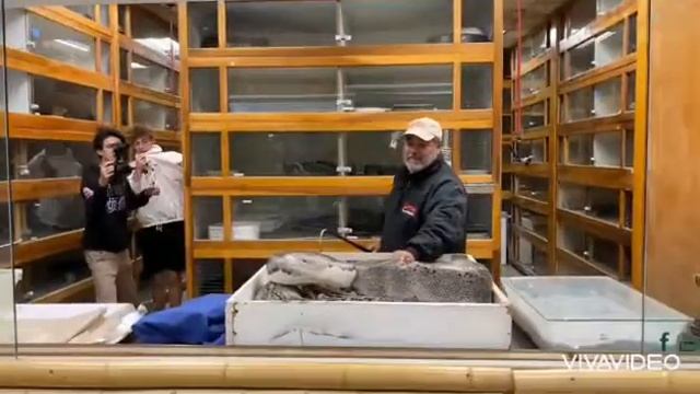 Bit By A 20 foot python смотреть онлайн