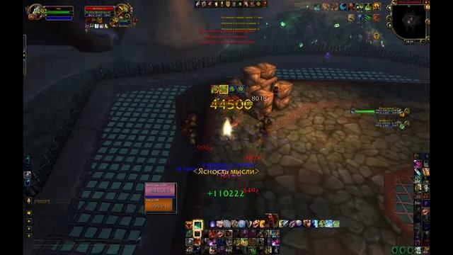 Panda Wow 5.4.8 Arena (Feral+Hpal) смотреть онлайн
