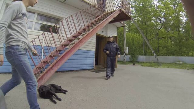 Немного о полиции РФ и о постах ГАИ смотреть онлайн