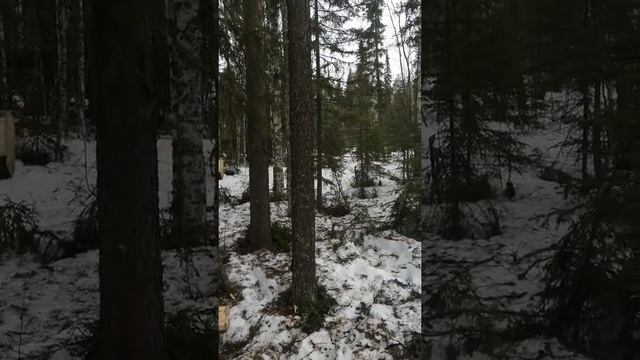 Строительство лабаза, весна 2022г. смотреть онлайн