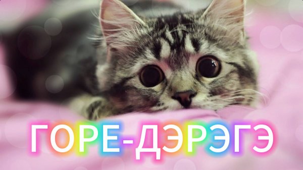 Потерял девственность в арме...