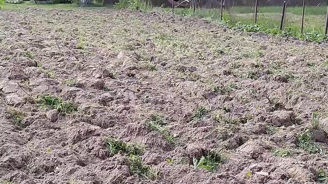 Итоги вспашки плугом ПЦ-1-18. смотреть онлайн