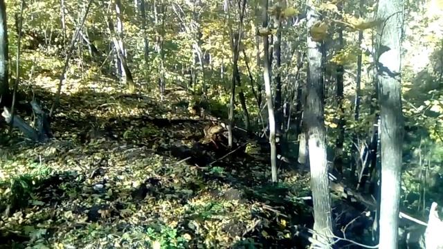 Начало колодца. Дубрава.Вокруг участка овраг. смотреть онлайн