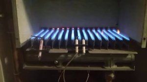 Ошибка ф1 котел протерм тигер