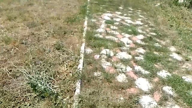 Лагерь "Солнечный" камышин смотреть онлайн